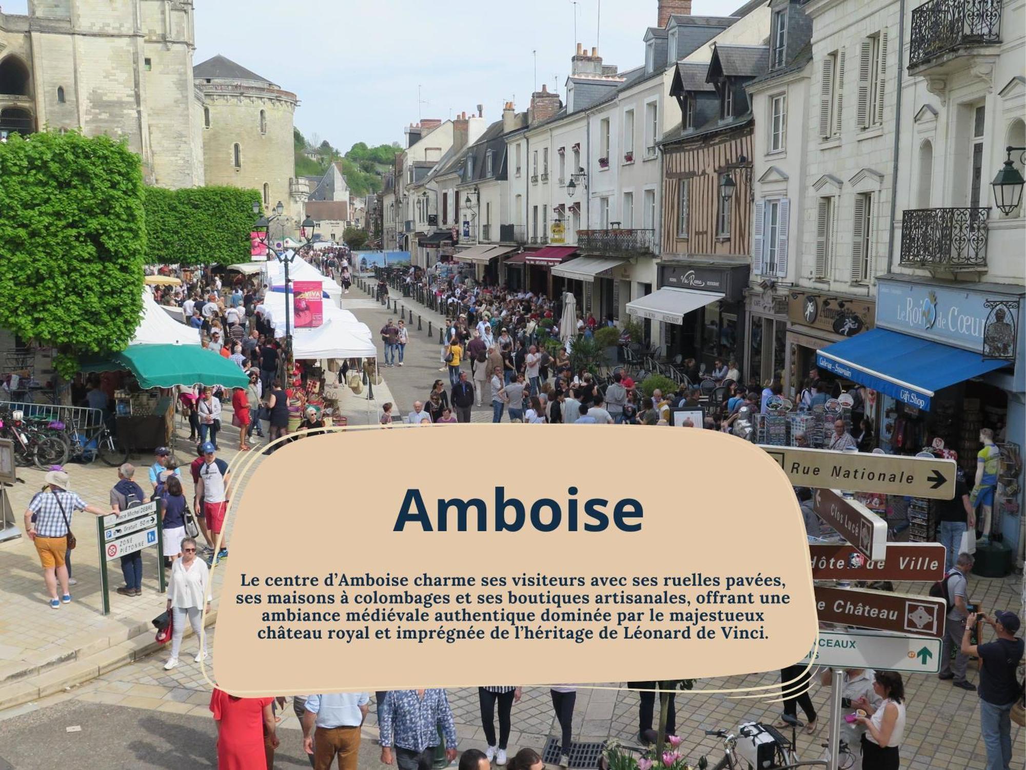 Gite Rabelais - A 5Min Du Chateau D'Amboise Exterior photo